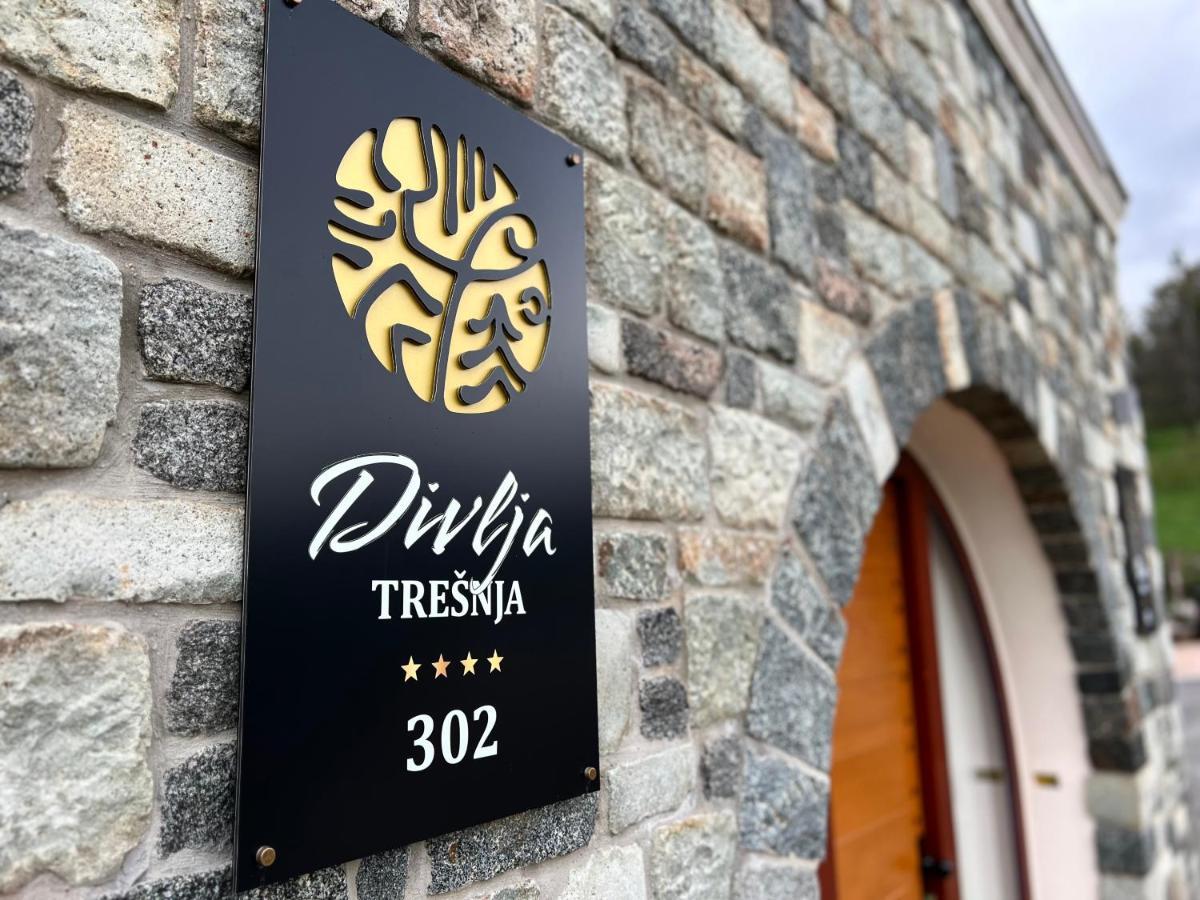 Toplik Village Resort Lukavica Exteriör bild